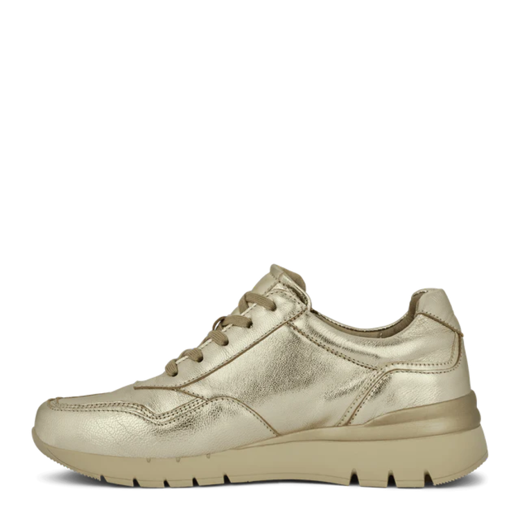 GC sneakers