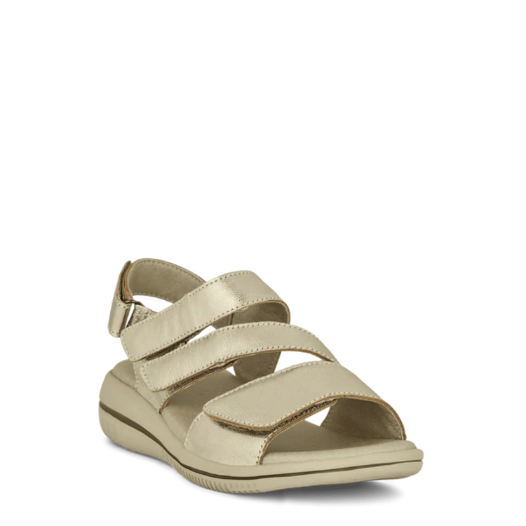 GC sandal