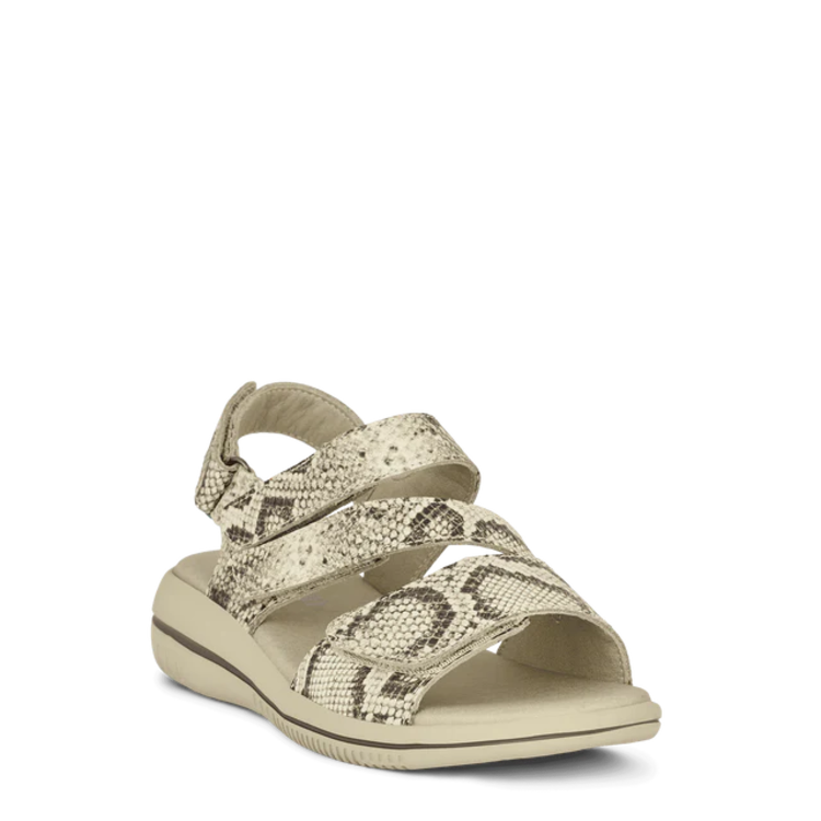 GC sandal